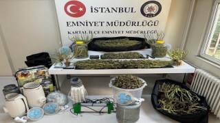 Kartalda uyuşturucu serasına çevrilen evde 10 kilo marihuana ele geçirildi