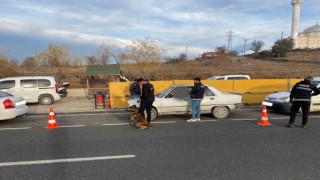 Kastamonuda uyuşturucu arama köpeği CEKU ile denetimler devam ediyor
