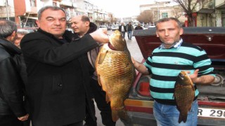 Kebap diyarında balık avlayarak geçimlerini sağlıyorlar