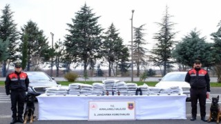 Kırklarelinde bir yılda 2 milyon 878 bin 335 kök kenevir ele geçirildi