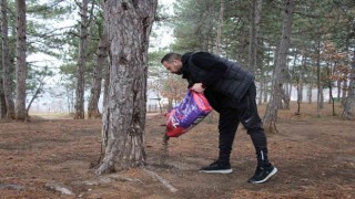 Kırsaldaki sokak hayvanları unutulmadı