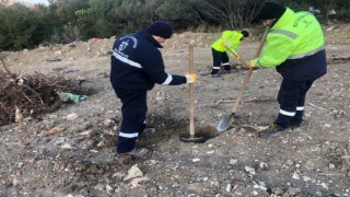 Kocaeli Büyükşehir bir yılda 124 bin 779 fidanı toprakla buluşturdu