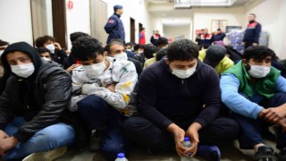 Kocaelide 33 düzensiz göçmen sınır dışı edildi