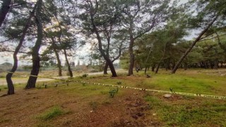 Kolları ve kafası olmayan ceset gizemini koruyor