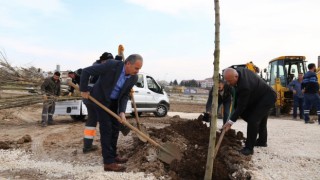 Koru Parkta ağaç dikimine başlandı