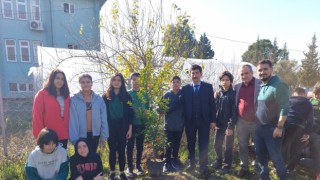Köyceğizde okul bahçesini meyve ağaçları ile donattılar