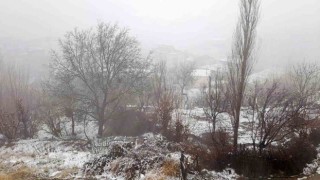 Kulpta yılın ilk karı yağdı