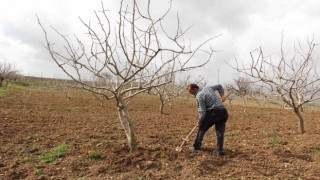 Kuraklık baş gösterdi, çiftçilere yağmur duasına çıkın çağrısı