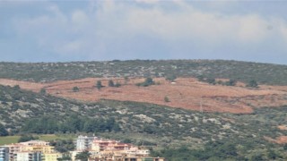 Kuşadasında kamu arazisi operasyonunda 4 tutuklama