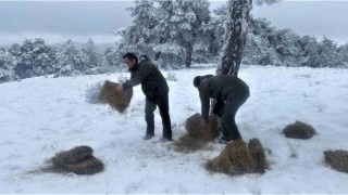 Kütahya OBMden yaban hayvanlarına yem desteği