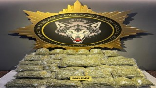 Malatyada 40 kilo skunk ele geçirildi