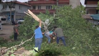 Manisaya kuvvetli rüzgar ve fırtına uyarısı