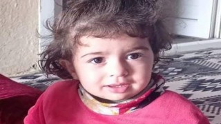 Mardinde 15 aylık Hicran bebeği ezen tır sürücüsü tutuklandı