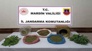 Mardinde bir şahsın evinde yapılan aramada uyuşturucu ele geçirildi