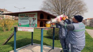 Menteşe Belediyesi sokaktaki can dostları unutmadı