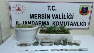 Mersinde uyuşturucu operasyonu: 1 tutuklu