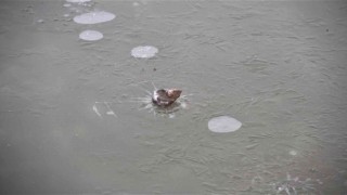 Meteorolojiden buzlanma ve don uyarısı