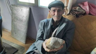 Milyonlarca yıllık arı peteği fosili buldu