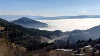 Mudurnuda sisle oluşan manzara hayran bıraktı