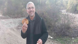 Muğlada vatandaşlar hafta sonunu dağlarda çıntar mantarı toplayarak geçirdi
