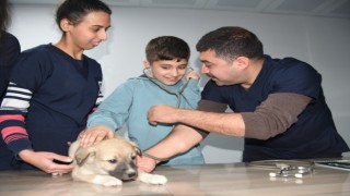Öğrenciler, yavru köpeklerin kalp atışlarını dinledi