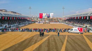 On binler deve güreşi heyecanını hep birlikte yaşadı