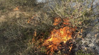 Orman yangını köylülerin müdahalesiyle söndürüldü