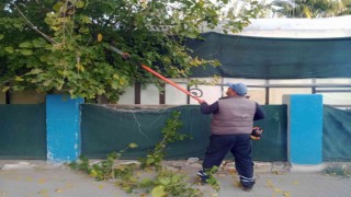 Ortacada yeşil alanlarının mevsimsel bakımları yapılıyor
