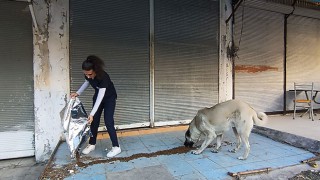 Osmaniye Belediyesi ekipleri Sokak hayvanlarına besleme dağıtıyor