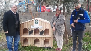 Osmaniye’de belli yerlere ‘Kedi Evleri’ yerleştiriliyor