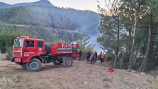 Osmaniyenin Düziçi ilçesinde ormanlık alanda çıkan yangın kontrol altına alındı