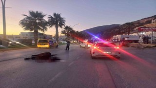 Otomobil aniden yola çıkan ata çarptı: 2 yaralı