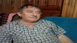 Palmiye ağacından düşen vatandaş hayatını kaybetti