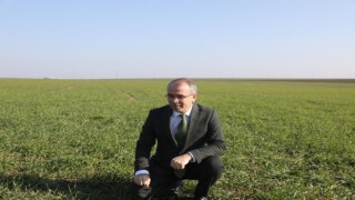 Pamuk ve mısırda düşüş yaşandı, kuraklık kriz merkezi oluşturuldu