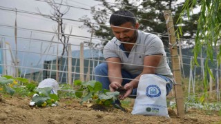 Pazar atıkları üretime can oluyor