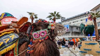 Pehlivan develer görücüye çıkıyor