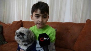Pendikte okula giden 10 yaşındaki çocuğu sokak köpekleri saldırdı