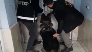 Polis kaçakçılara göz açtırmıyor