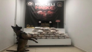 Polisi peşine takıp, uyuşturucu dolu çantaları ormanlık alana attı ama kurtulamadı