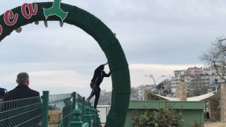 Reklam panosunda mahsur kalan kedi zor anlar yaşattı