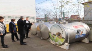 Samsunda çiğ sütün kalitesi arttırılıyor