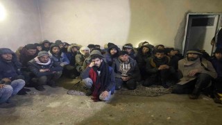 Şanlıurfada 101 düzensiz göçmen yakalandı