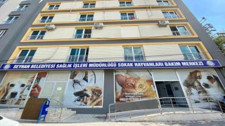 Seyhanda bin 236 sokak kedisini ücretsiz olarak kısırlaştırdı