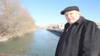 Sibiryadan göç eden yeşilbaşlı ördekler Bayburtu sevdi