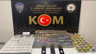 Şırnakta kaçakçılık, asayiş ve terör şüphelisi 49 kişiye işlem yapıldı