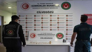 Suriye sınırında binlerce yıllık tarihi eserler ele geçirildi