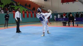 Taekwondo il şampiyonası Elazığda başladı