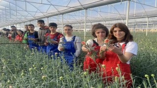 Tarım-ÜFE yıllık yüzde 151,03 arttı