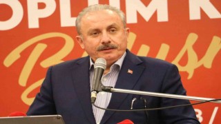 TBMM Başkanı Şentoptan Prens Harryye sert tepki: “Avrupalı beyaz çocuk, sen kimsin?”