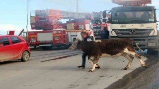 Tekirdağ korkutan yangın